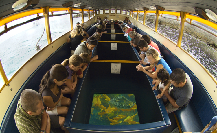 a group of people riding on the back of a boat