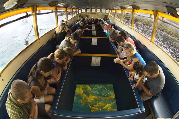 a group of people riding on the back of a boat