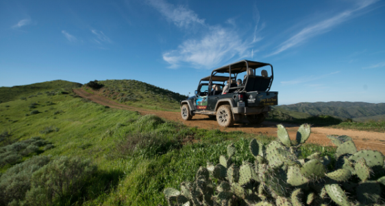 a truck on a grassy hill