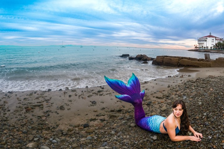 a person sitting at a beach