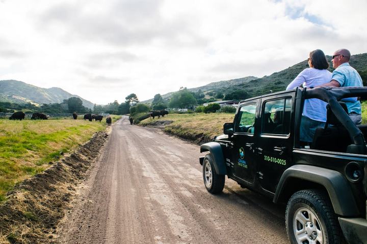 a truck driving down a dirt road